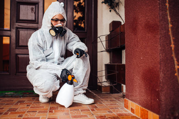 Reliable Cockroach Control contractor in Dakota Dunes, SD by Nex Pest Control